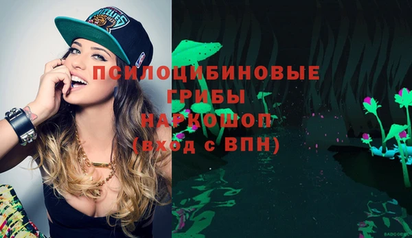 мдпв Абдулино