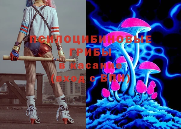 мдпв Абдулино