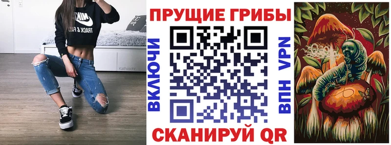 площадка клад  mega ТОР  Пудож  где можно купить   Псилоцибиновые грибы MAGIC MUSHROOMS 